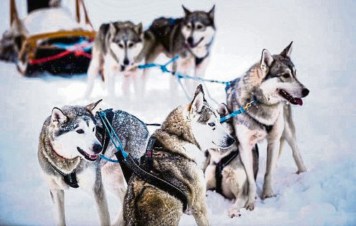 Foto: Jaakko Posti