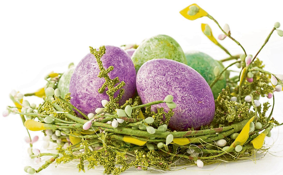Foto: gudrun - stock.adobe.com