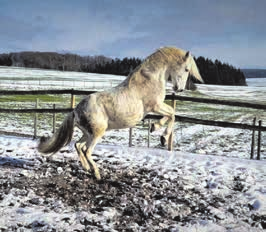 Foto: Walter Geib