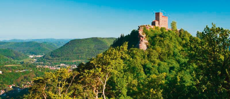 Purer Weingenuss und unberührte Wälder - diese zwei Besonderheiten der Pfalz können auf dem „Pfälzer Weinsteig“ erlebt werden. Dieser ist mit 153 km der längste der Pfälzer Wege und führt von der Burgruine Neuleiningen nach Schweigen-Rechtenbach. Insgesamt 12 000 Meter An- und Abstiege machen ihn zu einem abwechslungsreichen und anspruchsvollen Wanderweg. Die Strecke am Rand des Haardt-Gebirges ist gesäumt von Burgruinen und schmucken Weindörfern und bietet tolle Aussichten in die Rheinebene. Der Wechsel von verträumten Waldpfaden und sonnigen Etappen im Weinland sorgt für den Charme dieses Weges. Foto: Dominik Ketz