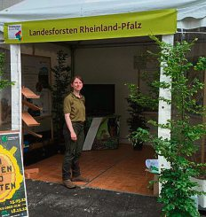<span id="id9jf">Foto: Landesforsten RLP, Ralf Hartwig</span>