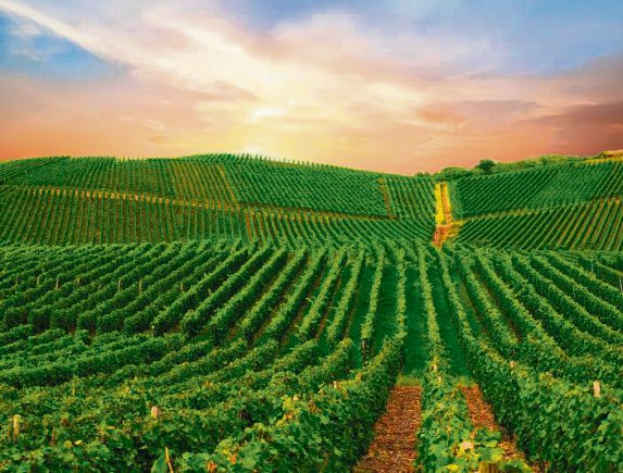 Foto: Travel Stock-stock.adobe.com