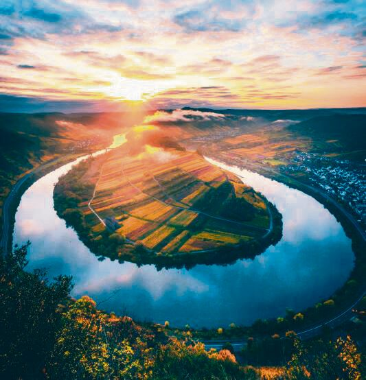 Foto: Jan-stock.adobe.com