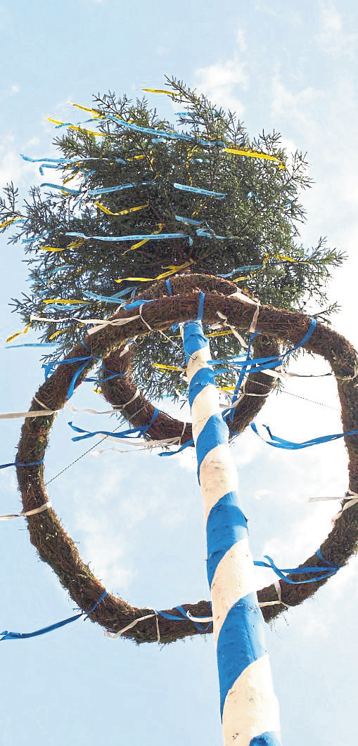 Foto: Gerhard - stock.adobe.com