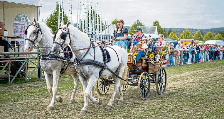Foto: Marius Franzmann