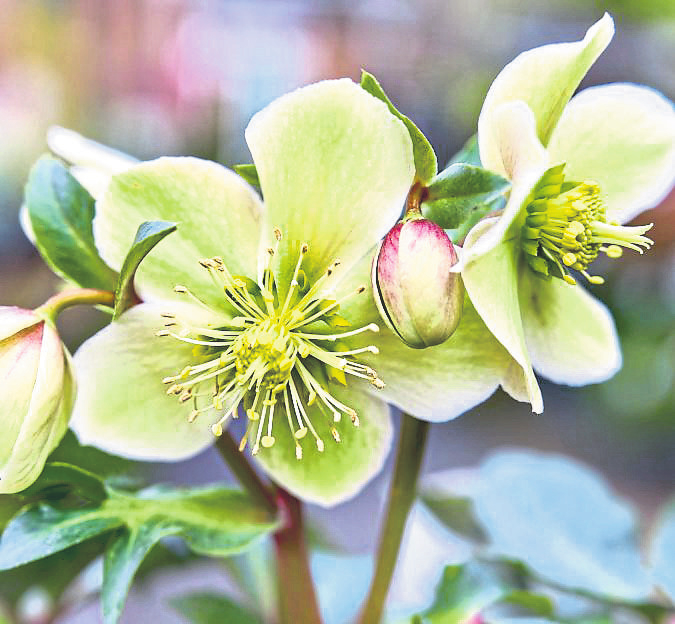 Bild: Alena Charykova - stock.adobe.com