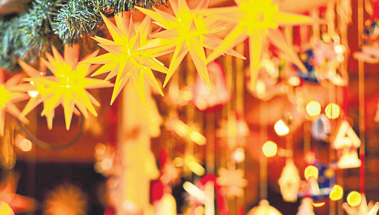 Foto: TIMDAVIDCOLLECTION - stock.adobe.com