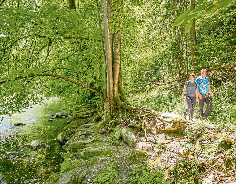 Der Wiedweg, Etappe 5 - An der Wied bei Arnsau. Foto: Andreas Pacek / Westerwald Touristik-Service