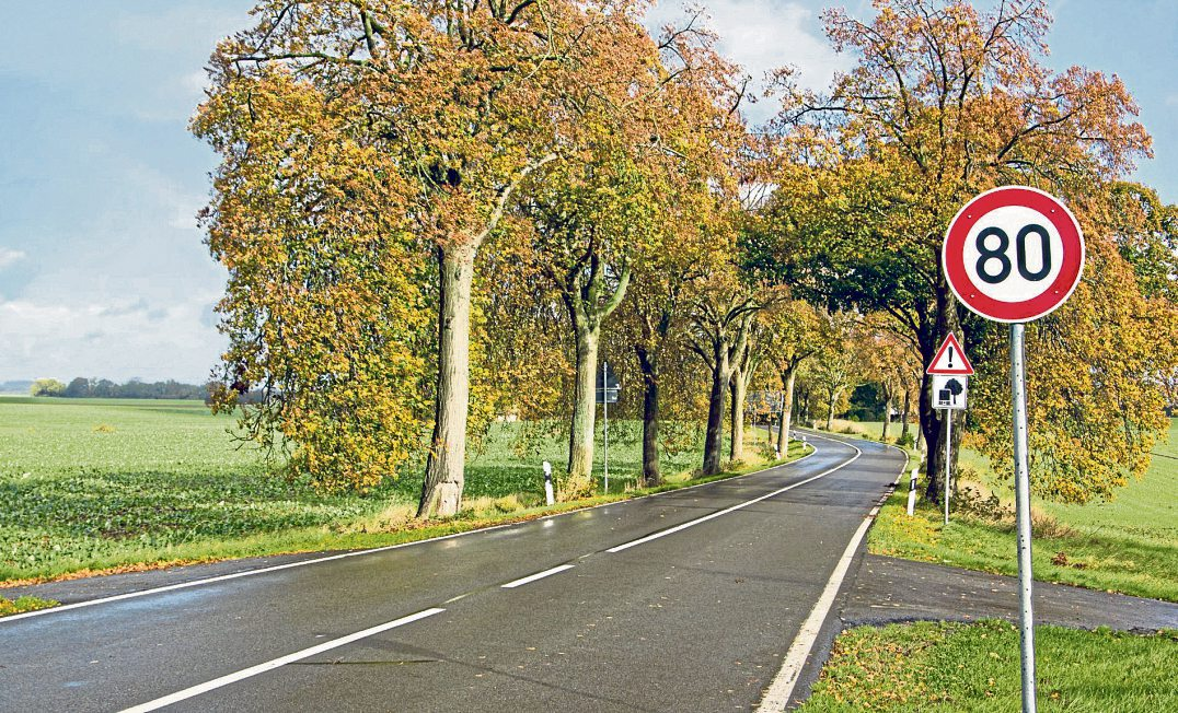 Wird die Geschwindigkeit auf der Landstraße auf unter 100 km/h begrenzt, geschieht das nicht willkürlich, sondern hat einen Grundwie hier die eng an der Fahrbahn stehenden Bäume. Foto: djd/www.saphe.dk/Sabine Schönfeld-stock.adobe.com