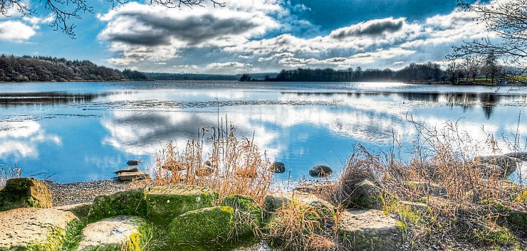 Der Dreifelder Weiher ist einer der größten Seen im Westerwald. Er gehört zur Westerwälder Seenplatte, einer Gruppe von sieben künstlich angelegten Seen. Er ist auch ein Naturschutzgebiet und zieht durch seine malerische Landschaft Besucher an. Foto: Dr. Jürgen Tenckhoff stock.adobe.com