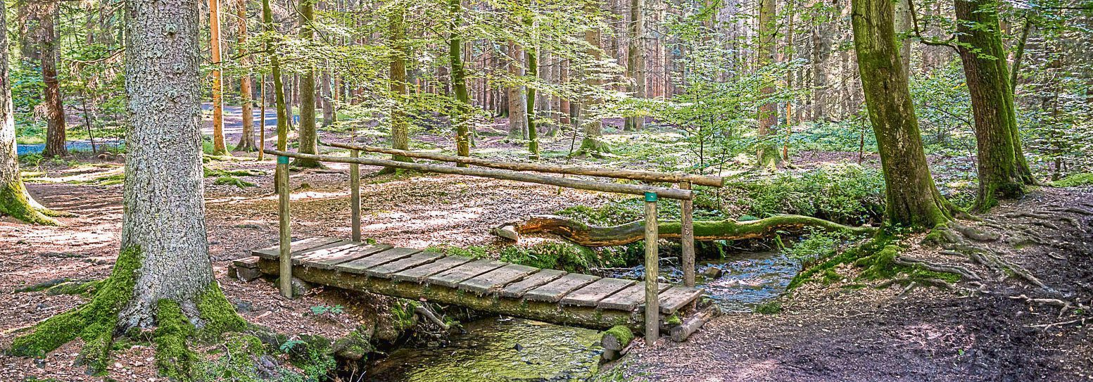 „Idyllische Wanderweg findet man im Köppelgebiet rund um Höhr-Grenzhausen und Ransbach-Baumbach.“