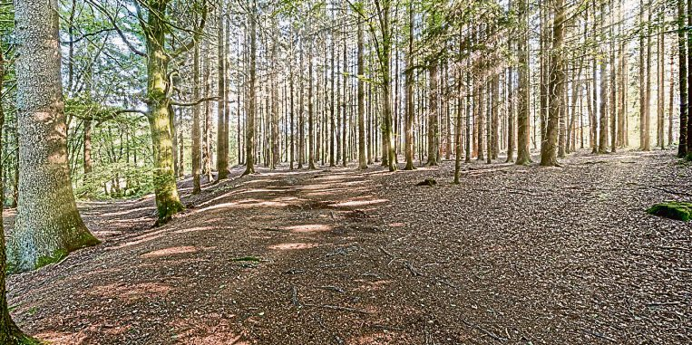 „Man findet tolle Impressionen auf den zahlreichen Wanderwegen im Kannenbäckerland“.