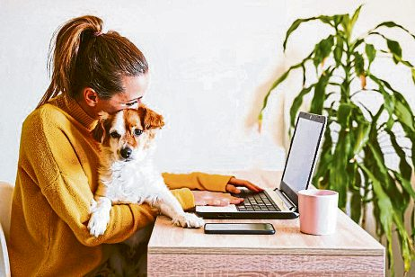 Neben dem Schmusen gehört zur Haltung eines Hundes auch ein bisschen Bürokratie. Foto: djd/Agila/Eva - stock.adobe.com