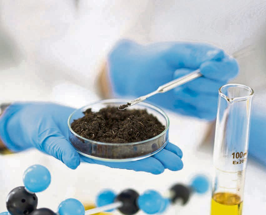Eine Bodenanalyse hilft, den pH-Wert und die Nährstoffgehalte an Stickstoff, Phosphor und Kalium zu bestimmen. Foto: Tichon Kuprewitsch - stock.adobe.com