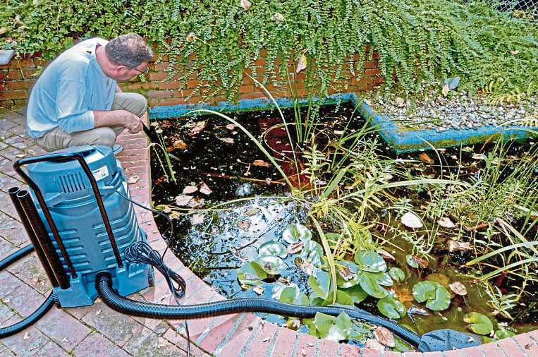 Mit einem Schlammsauger kann man den Teichboden von Schlamm, Pflanzenresten und Mulm befreien. Foto: DJD/Eheim