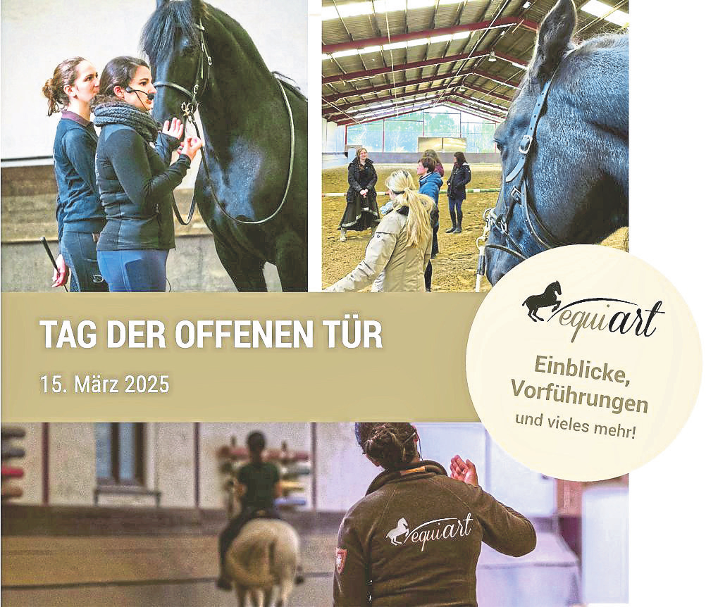 Foto: equi-art Reitkunst