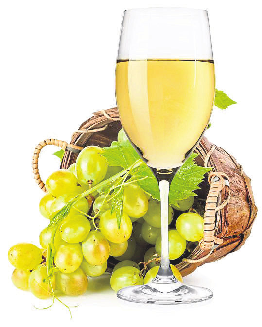 Foto: Givaga-stock.adobe.com