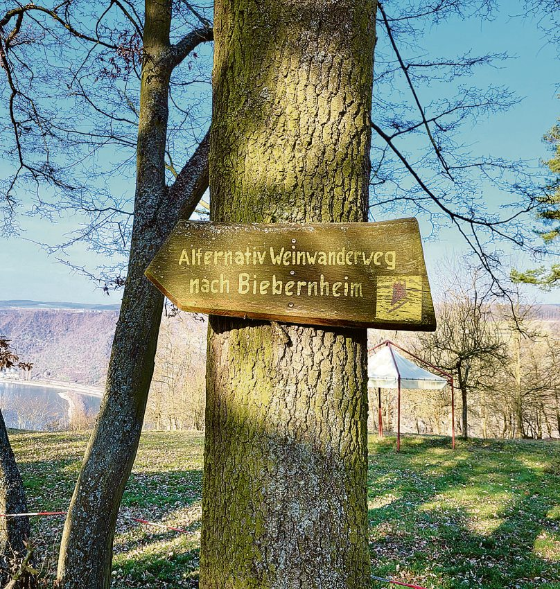 Foto: Petre Dettmer