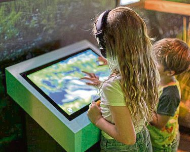 Ausstellung im Nationalparkhaus am Erbeskopf. Foto: Eike Dubois / Hunsrück-Touristik GmbH