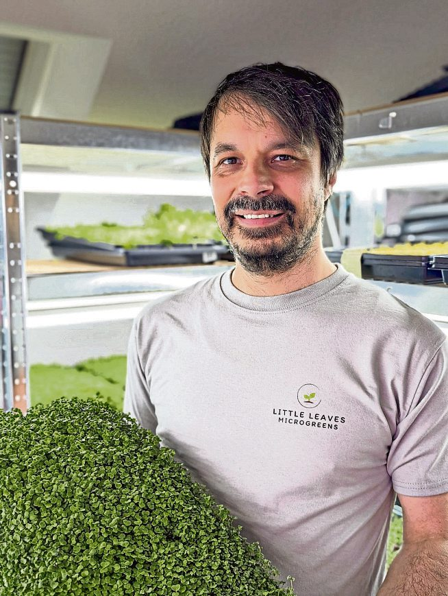 Mario Wenig züchtet unter dem Namen „Little Leaves Microgreens“ in Vallendar vitaminreiche Mini-Pflanzen mit großer Wirkung. Fotos: Mario Wenig