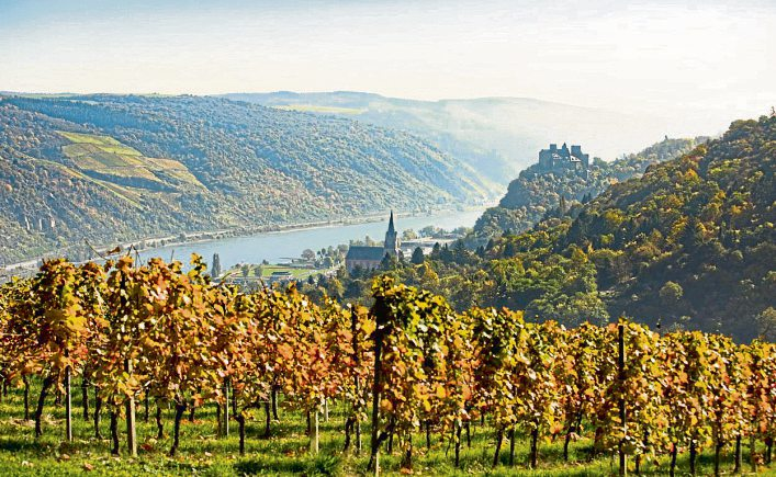 Die Romantische Rhein Tourismus GmbH koordiniert das touristische Marketing des Mittelrheintals. Im Rahmen eines LEADER-Kooperationsprojektes der LAG Welterbe Oberes Mittelrheintal bietet die Regionalagentur die Ausbildung zum Kultur- und Weinbotschafter an. Die Teilnehmenden absolvieren Kurse zu Weinbau, Natur- und Kulturlandschaft und vermitteln Ihr Wissen nach Abschluss des Zertifikats in eigenen Gästeführungen. Foto: Henry Tornow - Romantischer Rhein Tourismus GmbH