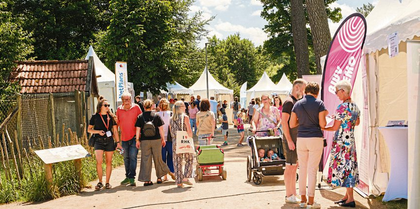 Foto: Daniel Morschhäuser