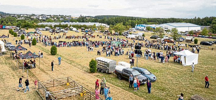 Foto: Marius Franzmann