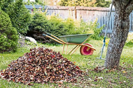 Vom Rasen darf das Laub weichen. Unter Sträuchern oder als Haufen in einer ruhigen Gartenecke findet es einen sinnvollen neuen Platz. Foto: Julia Klyueva - stock.adobe.com