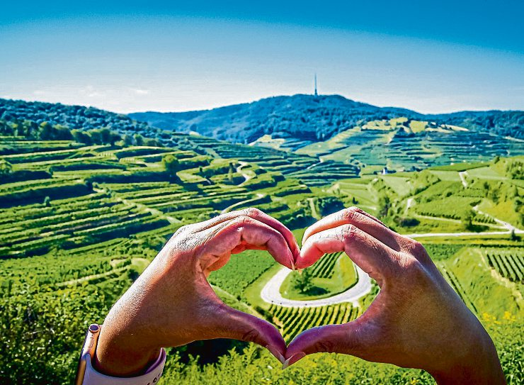 Foto: ThePhotoFab - stock.adobe.com