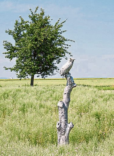 Die Skulptur „Grenzen“ von Elmar Hermann zeigt einen Uhu aus Aluminium auf einem Baumstamm. Seit 2025 gehört sie zum Besinnungsweg in Fellbach.