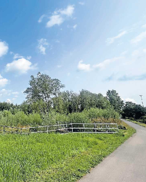 Ein Blick in die Bruchlandschaft. FOTO: ANNE SAHLER/GRATIS