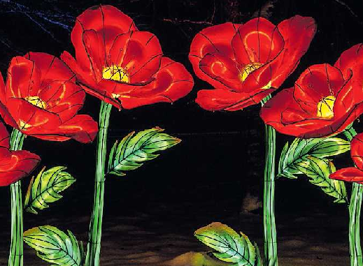 Ab 1. Januar im Luisenpark in Mannheim: Neuausgabe der beliebten „Winterlichter“. Foto: Luisenpark/oho