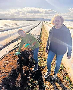 Bei Familie Kreiselmaier ist der ökologische Gemüseanbau Familiensache. FOTO: KREISELMAIER/GRATIS