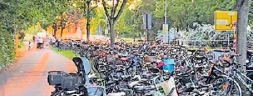 Die Stadtverwaltung bittet die Festbesucher, möglichst mit dem Fahrrad aufs Fest zu kommen. Stellplätze sind eingerichtet. FOTO: STADT SCHIFFERSTADT/GRATIS