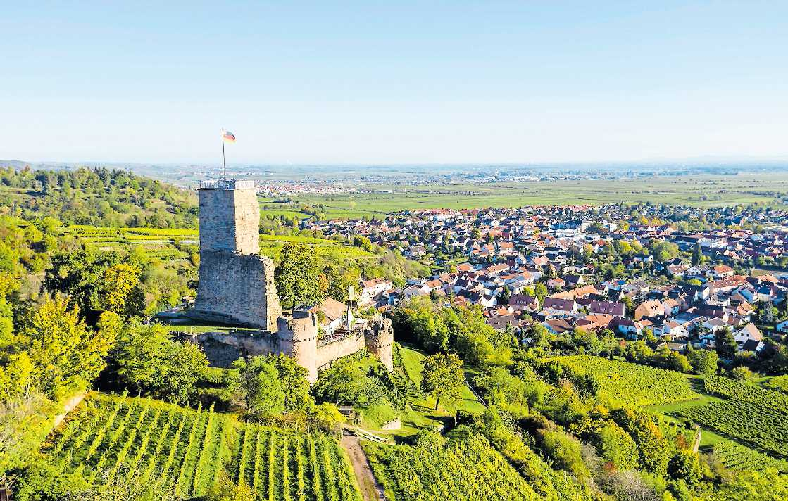 Wachtenburg in Wachenheim FOTO: ANNE SAHLER