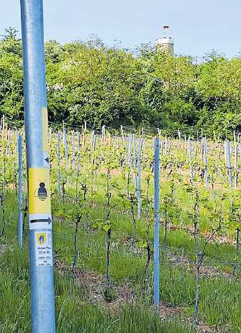 Den Wartturm schon im Blick: Markierung am Weg. | Foto: wig