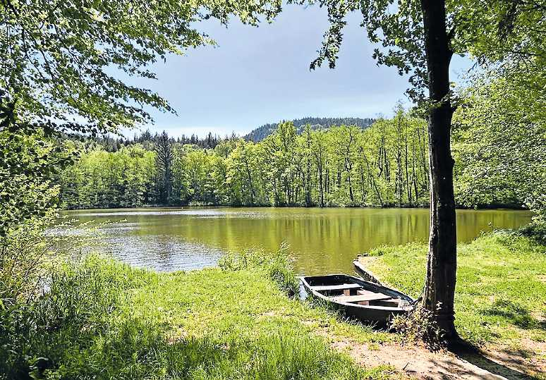 Idyllisch: privater Weiher zwischen Frauenwoog und Seehof. Foto: kai