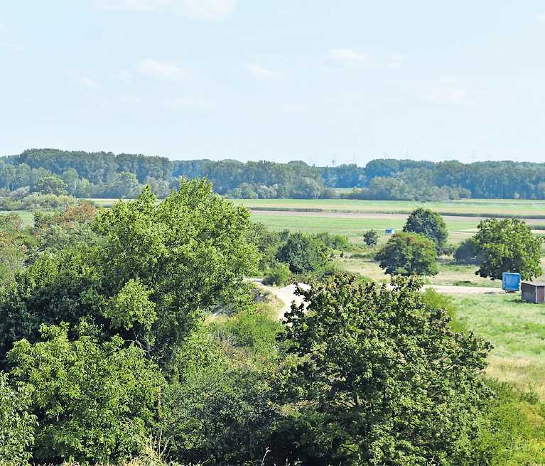 Entdeckt: Wo heute die Sandgrube in Heiligenstein ist, wurde ein Frankengrabfeld entdeckt. FOTO: XSM