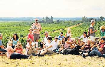 Genuss mit Aussicht: Freinsheimer Weinwanderung.