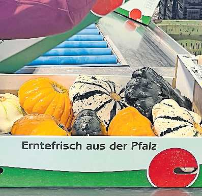 Vom Band in den Handel: Zierkürbismischung.