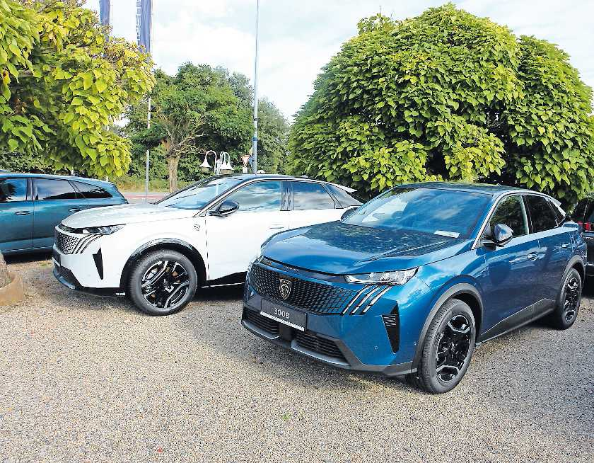 Die Peugeot-Baureihe 3008 bietet eine umfassende Produktpalette mit verschiedenen effizienten Antrieben. FOTO: STEFAN ENDLICH