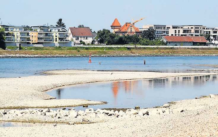 Niedrigwasser am Rhein - hier 2018 bei Speyer - ist immer wieder ein Problem. FOTO: LENZ