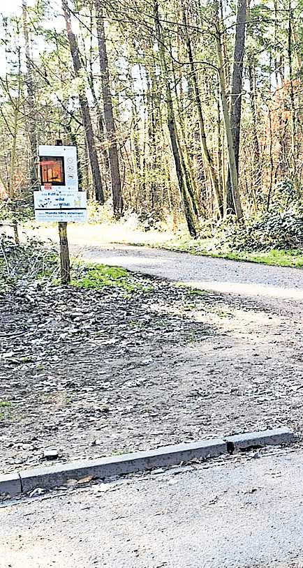 Kurz und knackig: Gut fünf Kilometer geht's ab dem Parkplatz hinter der Ganerbhalle Dudenhofen durch den Wald. FOTO: KÜHNER