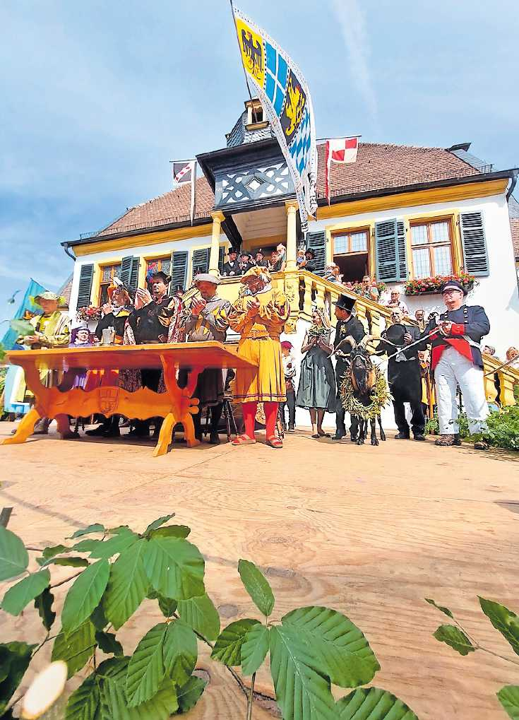 Wer bietet wie viel? Innerhalb von 15 Minuten findet der Geißbock einen neuen Besitzer. FOTO: TOURIST-INFO DEIDESHEIM