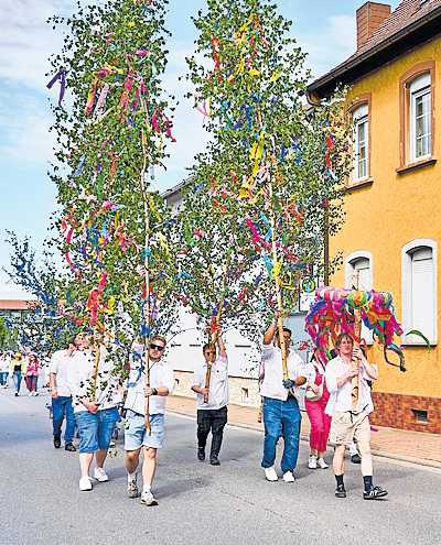 Die Kerwebäume werden an jeder Gaststätte angebracht FOTO: ORTSGEMEINDE/GRATIS