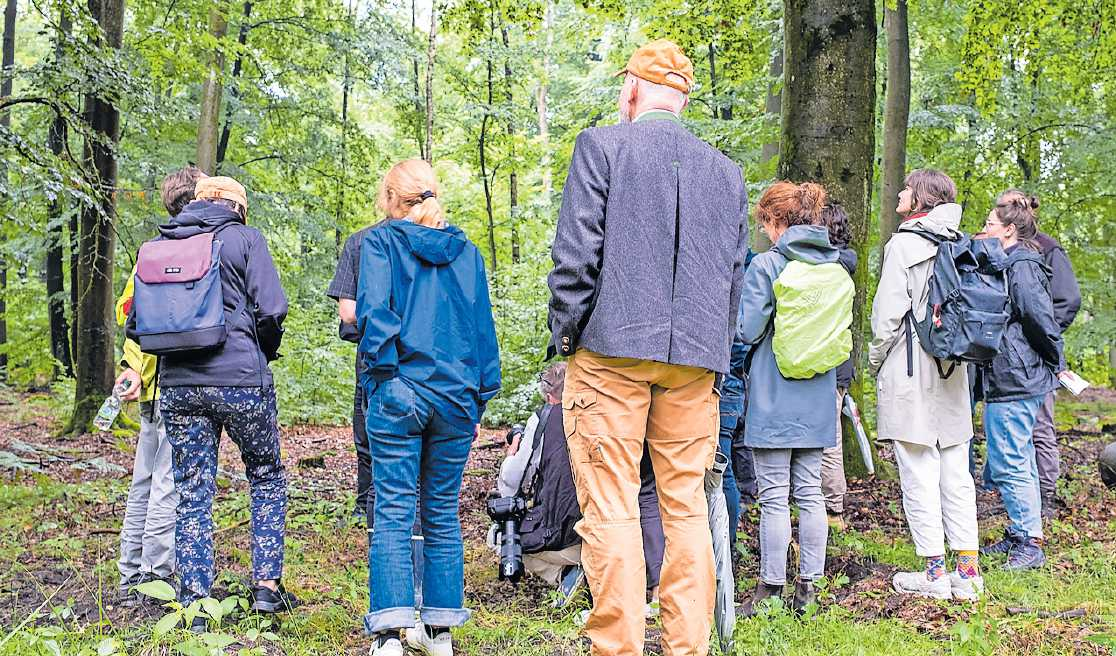 Hunderte Waldveranstaltungen laden rund um das Wochenende vom 18. bis 20. September zu den Deutschen Waldtagen 2026 in die Wälder ein. FOTO: DJD/WWW.DEUTSCHE-WALDTAGE.DE/FNR/J. DABELS/GRATIS