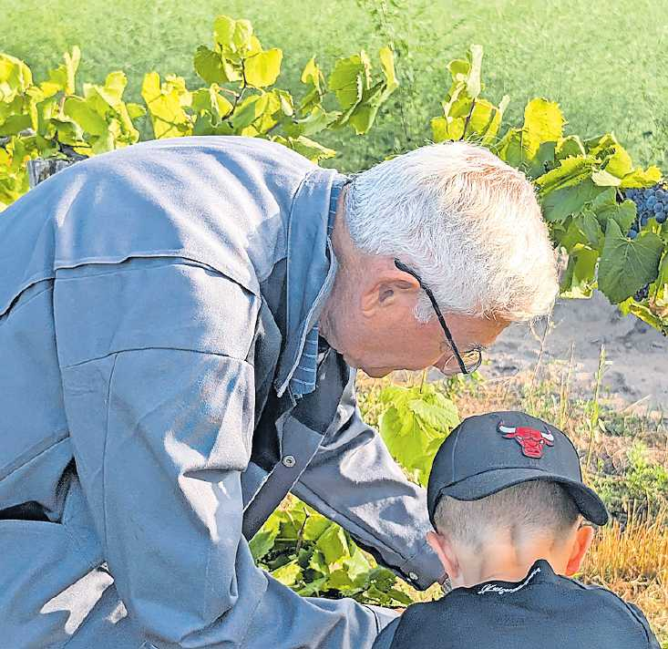 Der Weinanbau fasziniert alle Generationen. FOTO: SUSANNE KÜHNER