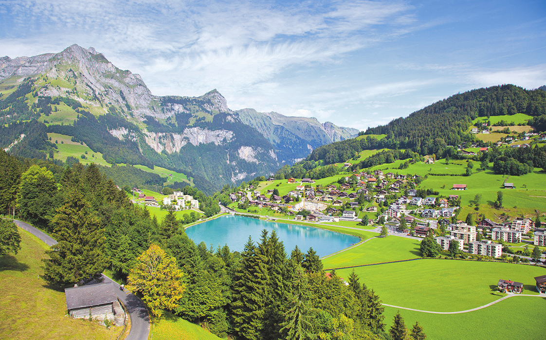 Bild: shutterstock