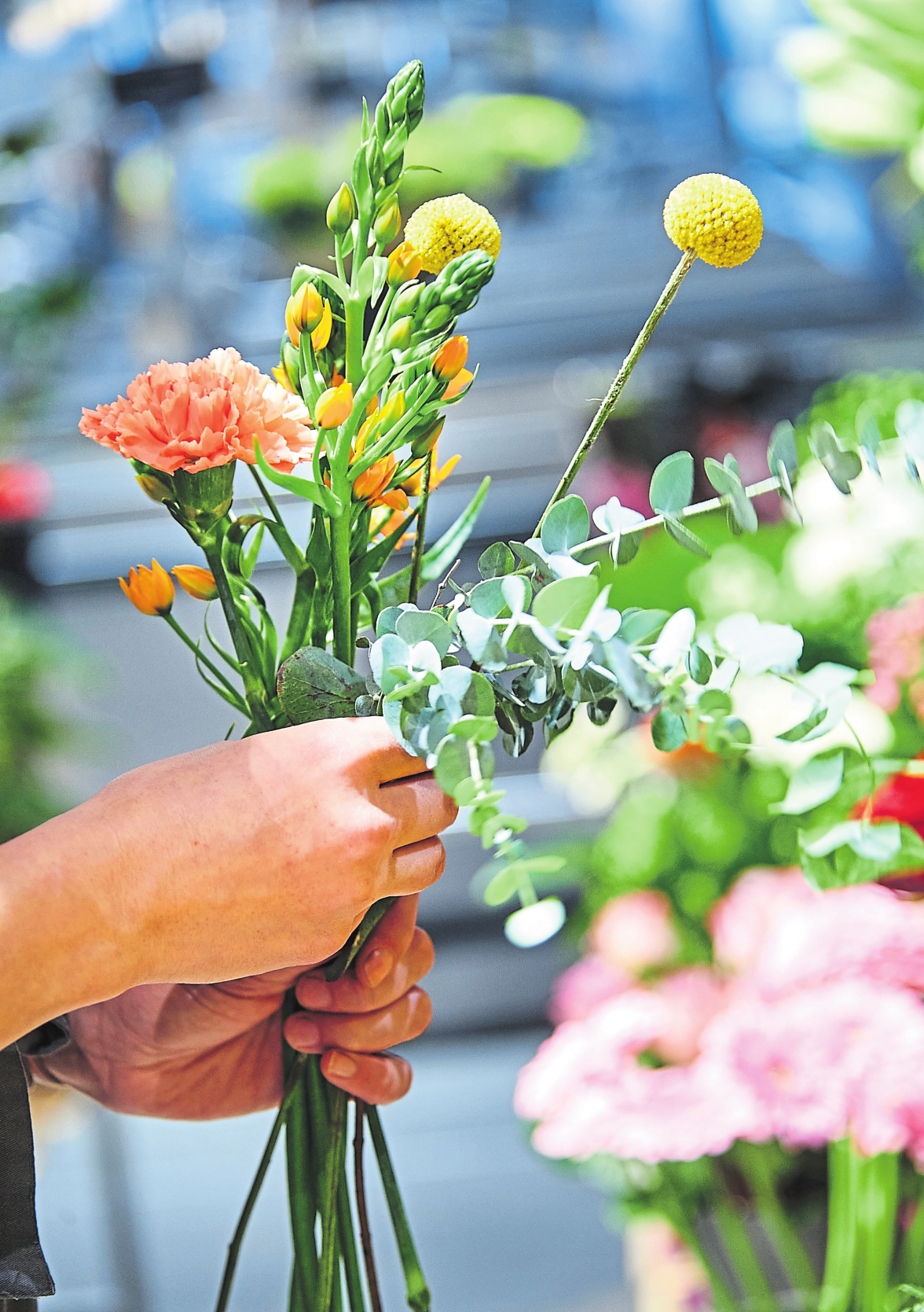 La pluralité des compositions des bouquets sont à l'image des nombreuses possibilités de l'offre Cactus en matière de fleurs et de plantes.