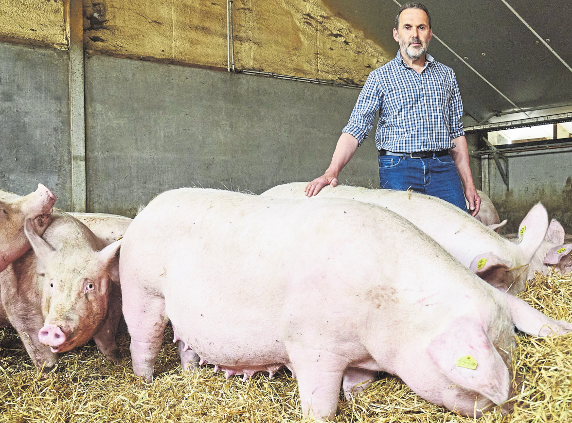 Dernière de la série des cinq filières carnées, l'offre de viande porcine luxembourgeoise sera aussi prochainement une filière Cactus.